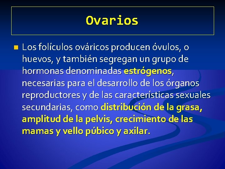 Ovarios n Los folículos ováricos producen óvulos, o huevos, y también segregan un grupo