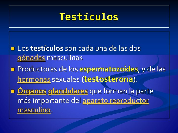 Testículos Los testículos son cada una de las dos gónadas masculinas n Productoras de