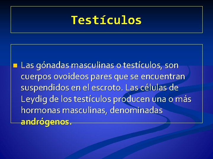 Testículos n Las gónadas masculinas o testículos, son cuerpos ovoideos pares que se encuentran