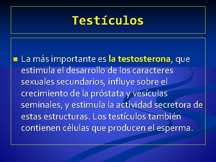Testículos n La más importante es la testosterona, que estimula el desarrollo de los