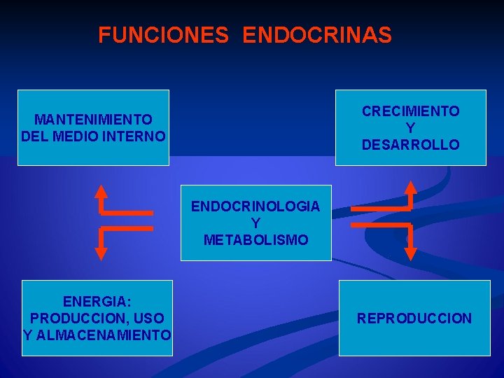 FUNCIONES ENDOCRINAS CRECIMIENTO Y DESARROLLO MANTENIMIENTO DEL MEDIO INTERNO ENDOCRINOLOGIA Y METABOLISMO ENERGIA: PRODUCCION,