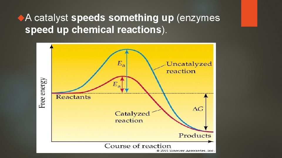 Chemical Reactions Cornell Notes Title your Add notes