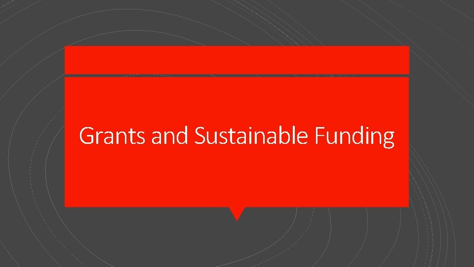 Grants and Sustainable Funding 