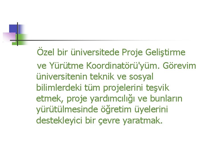 Özel bir üniversitede Proje Geliştirme ve Yürütme Koordinatörü'yüm. Görevim üniversitenin teknik ve sosyal bilimlerdeki