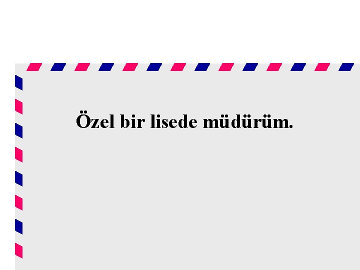 Özel bir lisede müdürüm. 