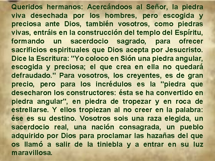 Queridos hermanos: Acercándoos al Señor, la piedra viva desechada por los hombres, pero escogida