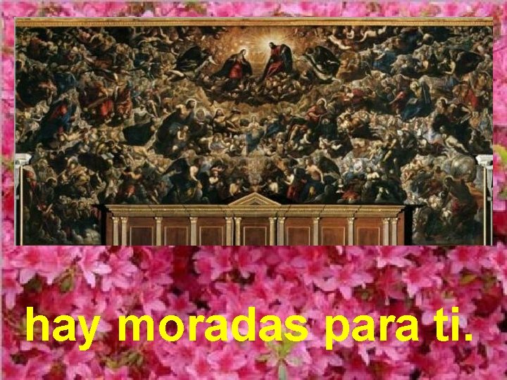 hay moradas para ti. 