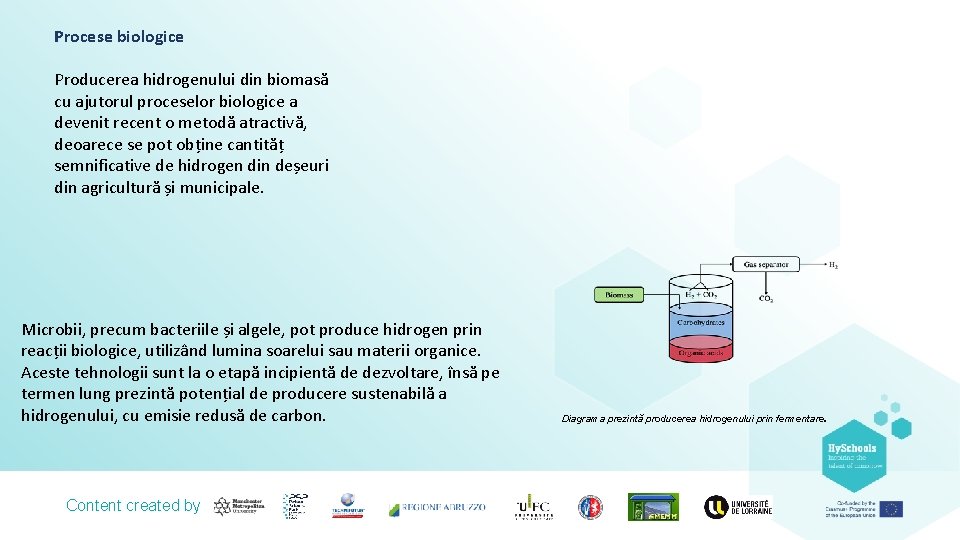 Procese biologice Producerea hidrogenului din biomasă cu ajutorul proceselor biologice a devenit recent o