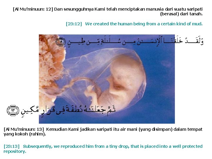 [Al Mu’minuun: 12] Dan sesungguhnya Kami telah menciptakan manusia dari suatu saripati (berasal) dari