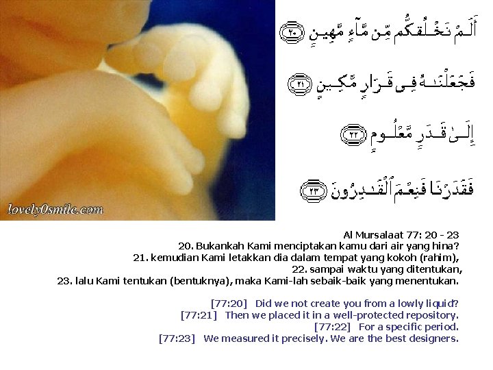 Al Mursalaat 77: 20 - 23 20. Bukankah Kami menciptakan kamu dari air yang