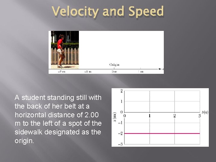 Velocity and Speed A student standing still with the back of her belt at