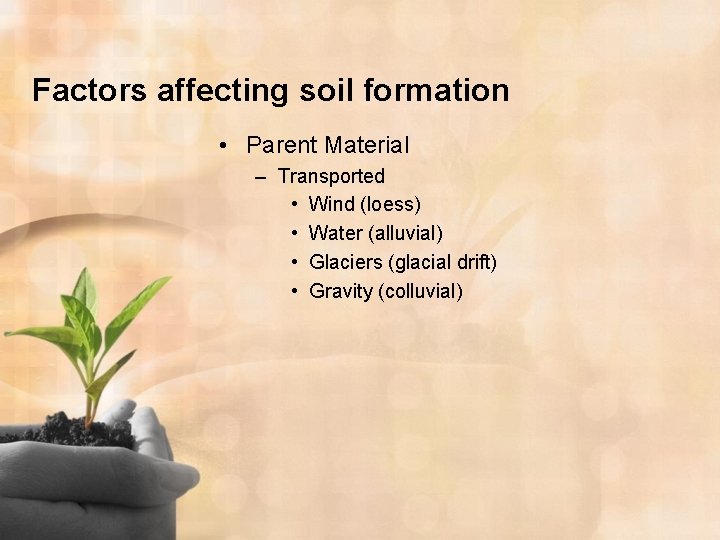 Factors affecting soil formation • Parent Material – Transported • Wind (loess) • Water