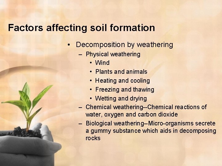 Factors affecting soil formation • Decomposition by weathering – Physical weathering • Wind •