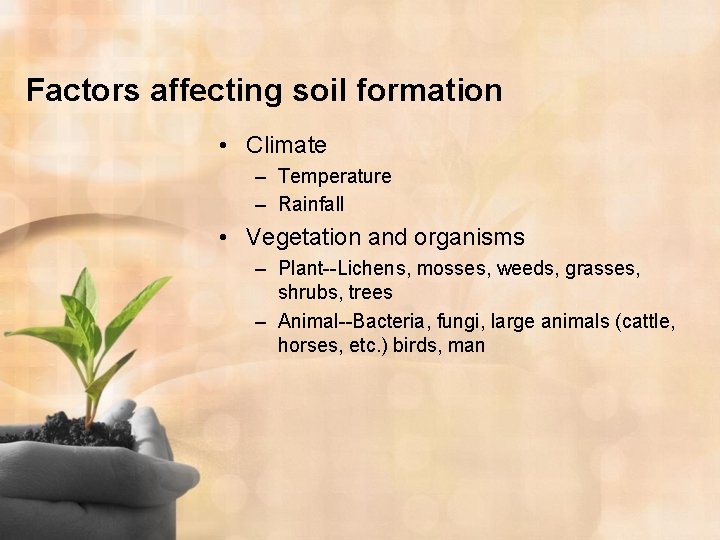 Factors affecting soil formation • Climate – Temperature – Rainfall • Vegetation and organisms