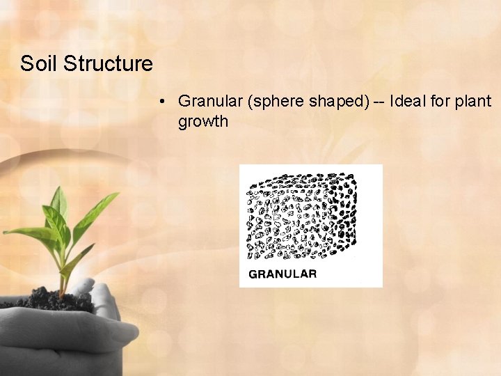 Soil Structure • Granular (sphere shaped) -- Ideal for plant growth 