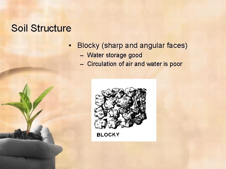 Soil Structure • Blocky (sharp and angular faces) – Water storage good – Circulation