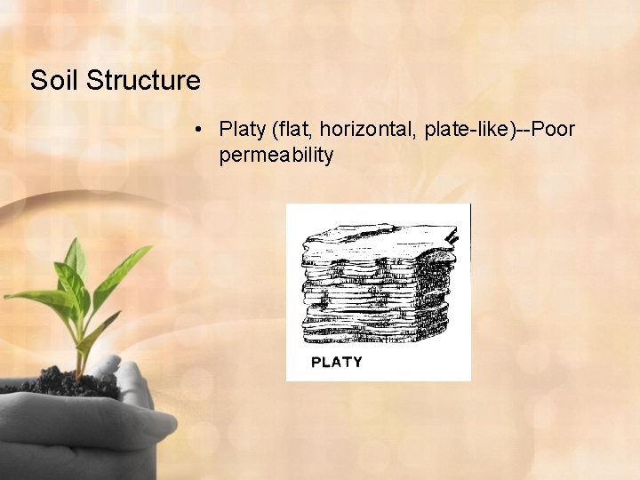 Soil Structure • Platy (flat, horizontal, plate-like)--Poor permeability 