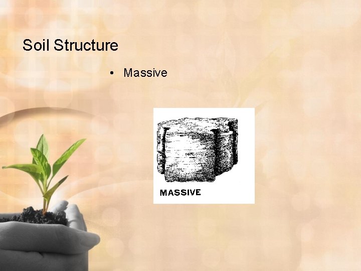 Soil Structure • Massive 
