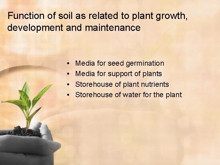 Function of soil as related to plant growth, development and maintenance • • Media