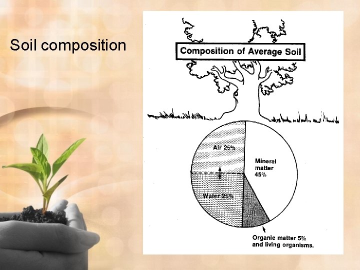 Soil composition 
