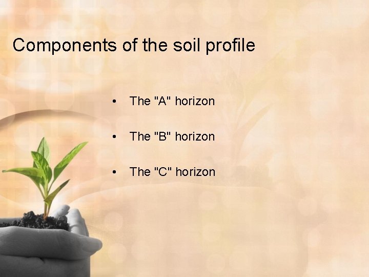 Components of the soil profile • The "A" horizon • The "B" horizon •