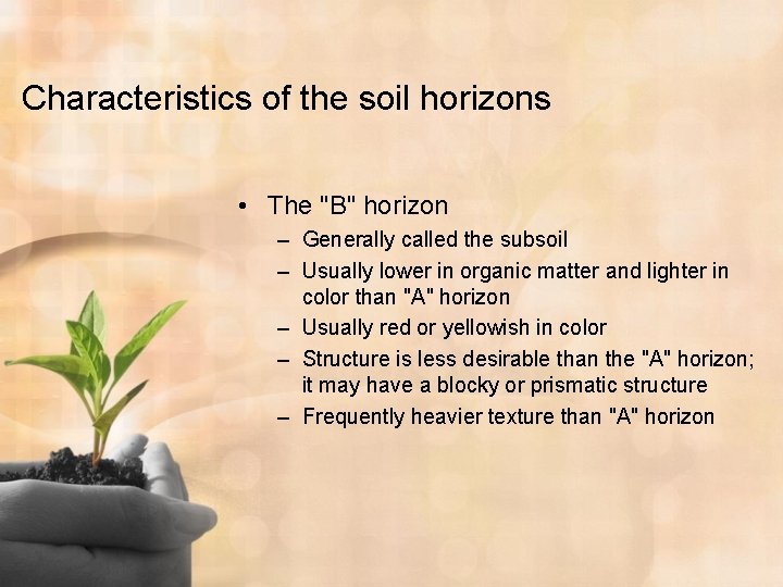 Characteristics of the soil horizons • The "B" horizon – Generally called the subsoil