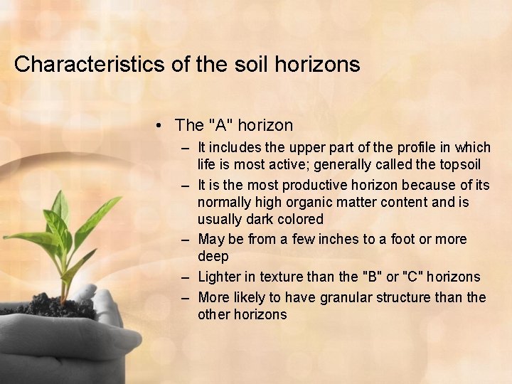 Characteristics of the soil horizons • The "A" horizon – It includes the upper