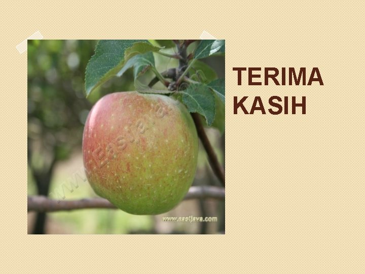 TERIMA KASIH 