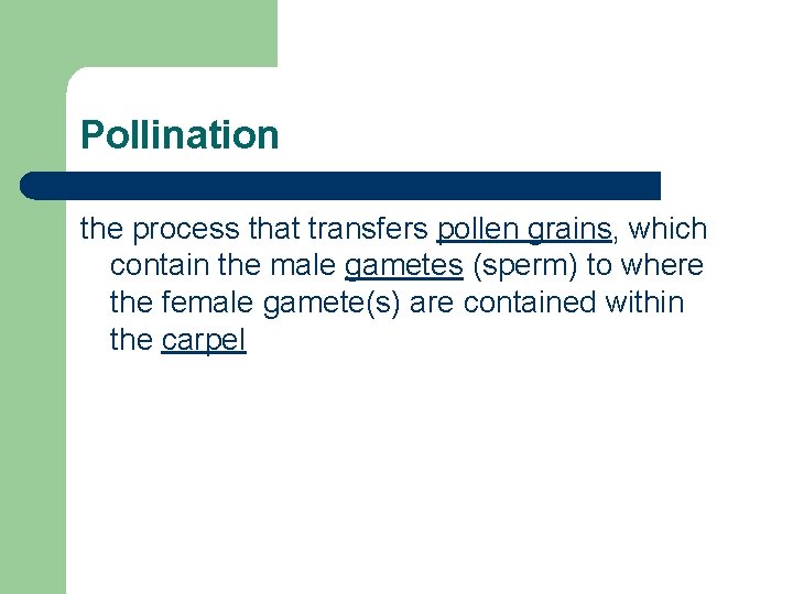 Pollination the process that transfers pollen grains, which contain the male gametes (sperm) to