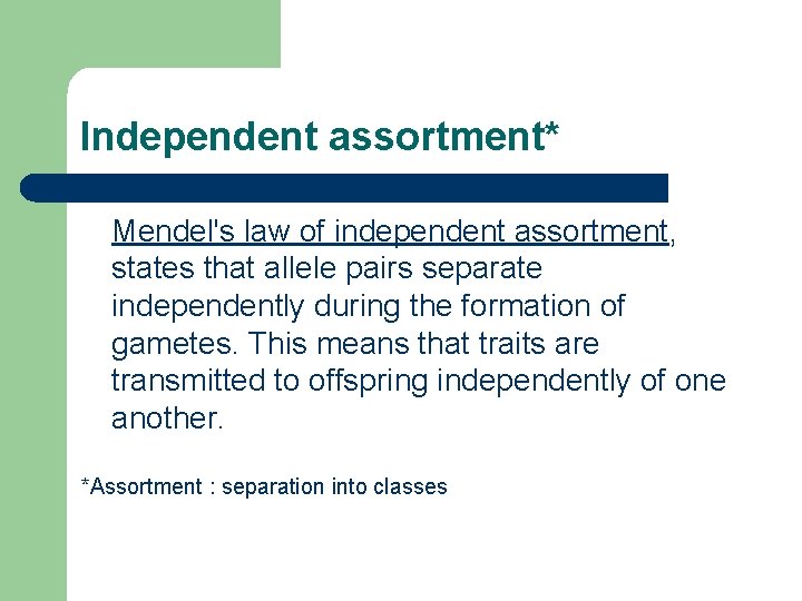 Independent assortment* Mendel's law of independent assortment, states that allele pairs separate independently during