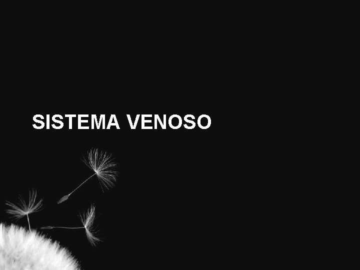 SISTEMA VENOSO 