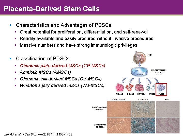 Placenta-Derived Stem Cells § Characteristics and Advantages of PDSCs § Great potential for proliferation,