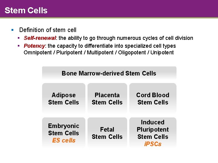 Stem Cells § Definition of stem cell § Self-renewal: the ability to go through