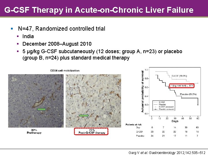 G-CSF Therapy in Acute-on-Chronic Liver Failure § N=47, Randomized controlled trial § India §