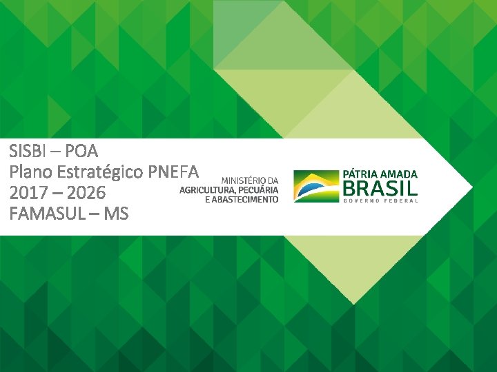 SISBI – POA Plano Estratégico PNEFA 2017 – 2026 FAMASUL – MS 