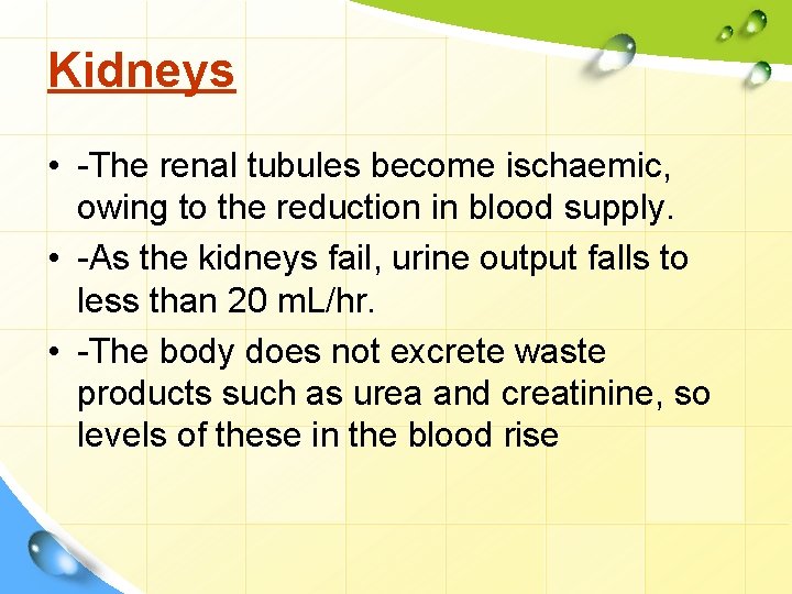 Kidneys • -The renal tubules become ischaemic, owing to the reduction in blood supply.