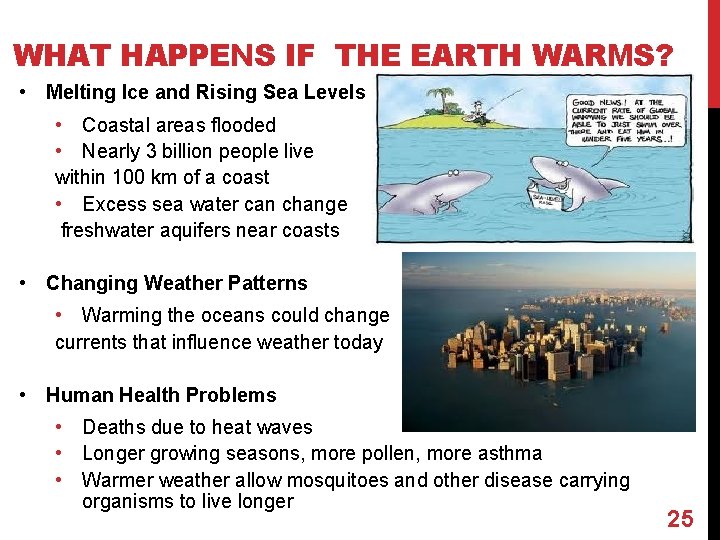 WHAT HAPPENS IF THE EARTH WARMS? • Melting Ice and Rising Sea Levels •