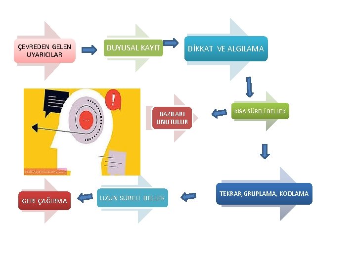 ÇEVREDEN GELEN UYARICILAR DUYUSAL KAYIT DİKKAT VE ALGILAMA BAZILARI UNUTULUR GERİ ÇAĞIRMA UZUN SÜRELİ