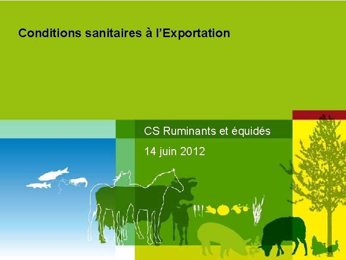 Conditions sanitaires à l’Exportation CS Ruminants et équidés 14 juin 2012 