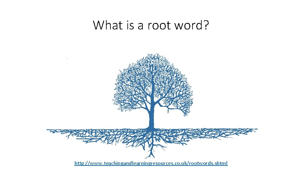 What is a root word? http: //www. teachingandlearningresources. co. uk/rootwords. shtml 