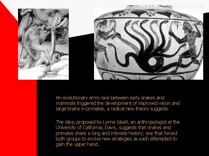 An evolutionary arms race between early snakes and mammals triggered the development of improved