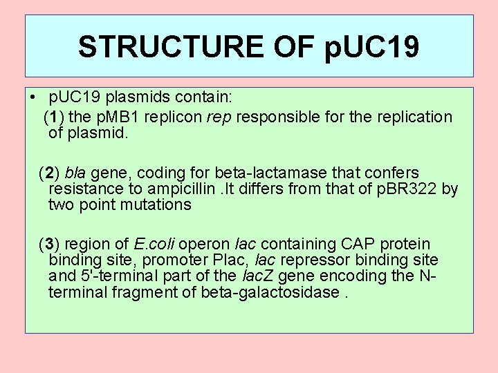 STRUCTURE OF p. UC 19 • p. UC 19 plasmids contain: (1) the p.