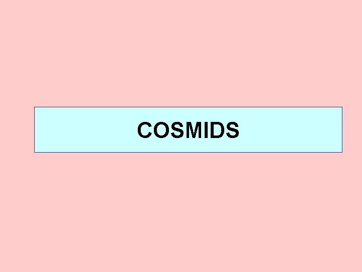 COSMIDS COSMIDS