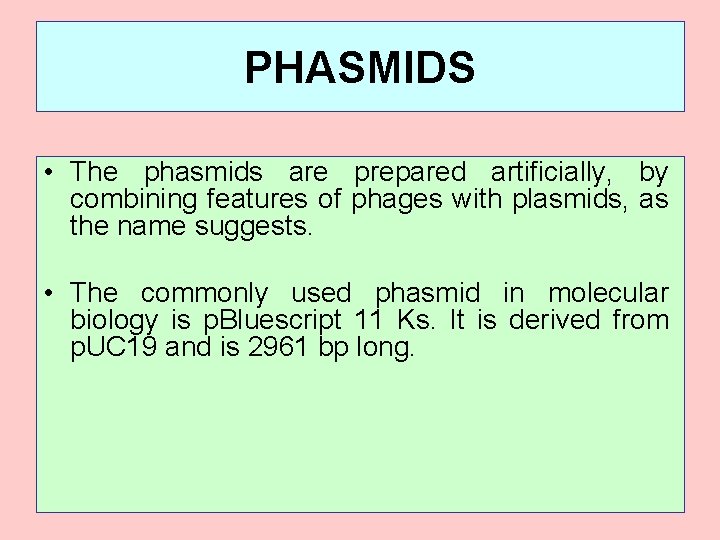 PHASMIDS • The phasmids are prepared artificially, by combining features of phages with plasmids,