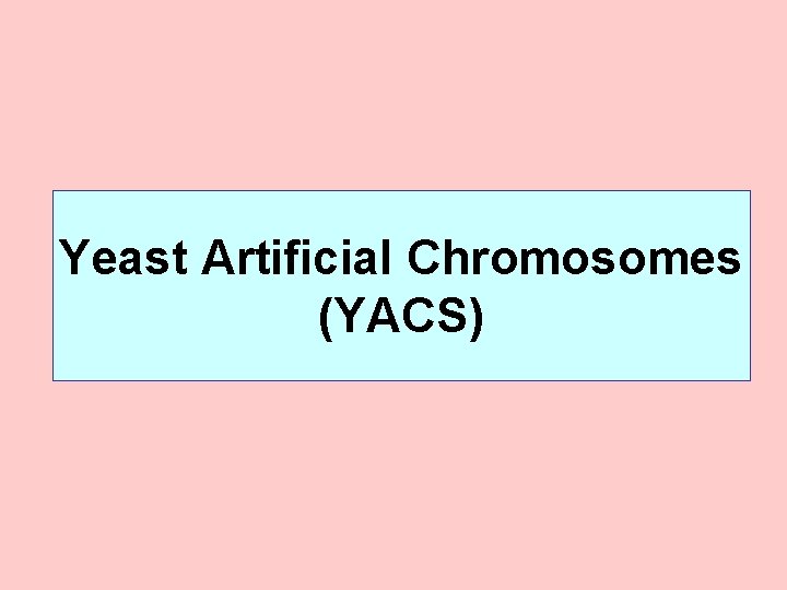 Yeast Artificial Chromosomes (YACS) 