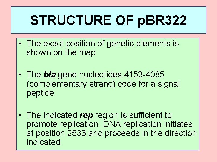 STRUCTURE OF p. BR 322 • The exact position of genetic elements is shown