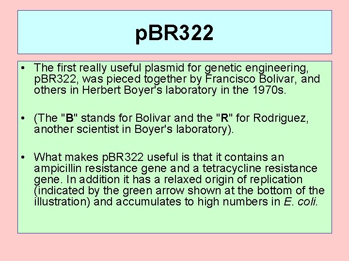 p. BR 322 • The first really useful plasmid for genetic engineering, p. BR