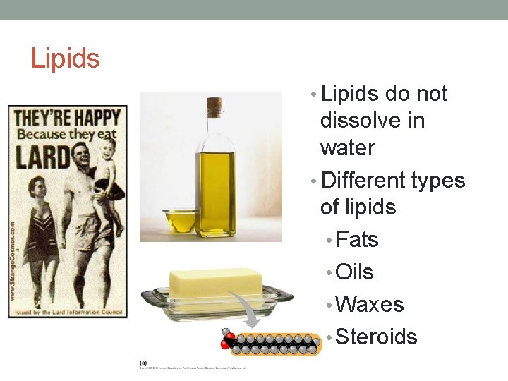 Lipids • Lipids do not dissolve in water • Different types of lipids •