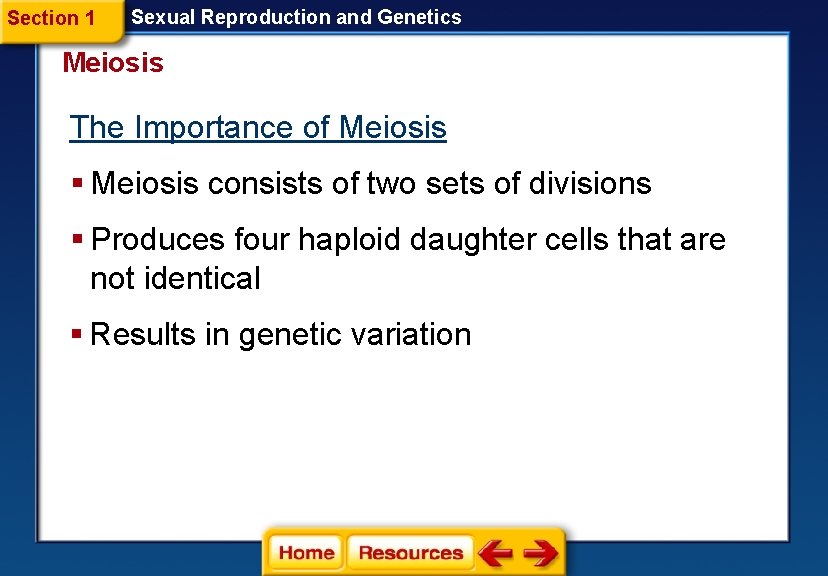 Section 1 Sexual Reproduction and Genetics Meiosis The Importance of Meiosis § Meiosis consists