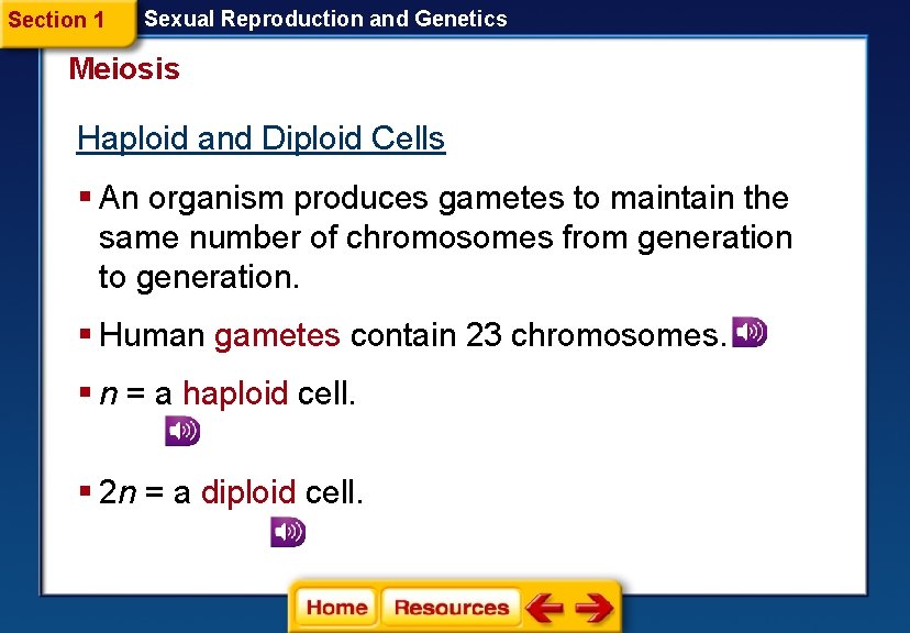 Section 1 Sexual Reproduction and Genetics Meiosis Haploid and Diploid Cells § An organism